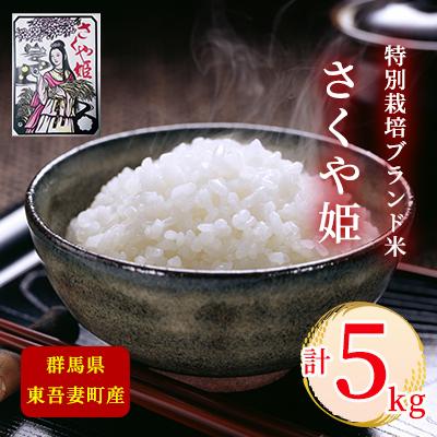 ふるさと納税 東吾妻町 【東吾妻町産】特別栽培ブランド米 さくや姫 5kg[No.5819-0344]
