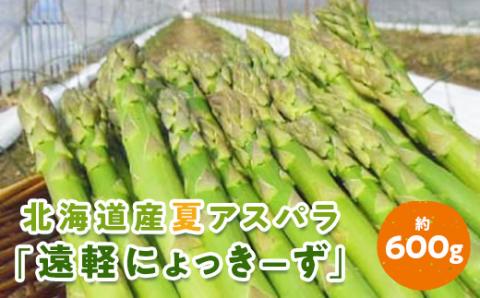 《先行予約》2026年夏アスパラ(約600g)「遠軽にょっきーず」