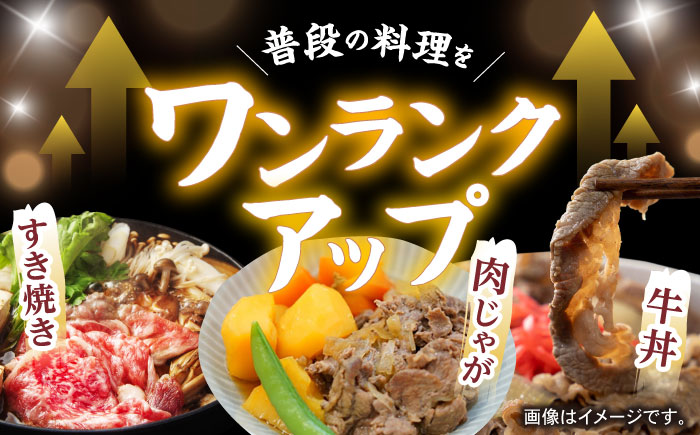 【訳あり】切り落とし 赤身 モモ バラ 600g / 長崎和牛 A4～A5ランク ワケあり 小間切れ / 諫早市 / 野中精肉店 [AHCW011]