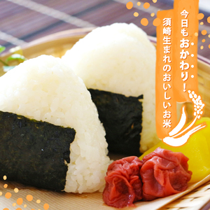 新米コシヒカリ 3kg 令和7年 高知県産