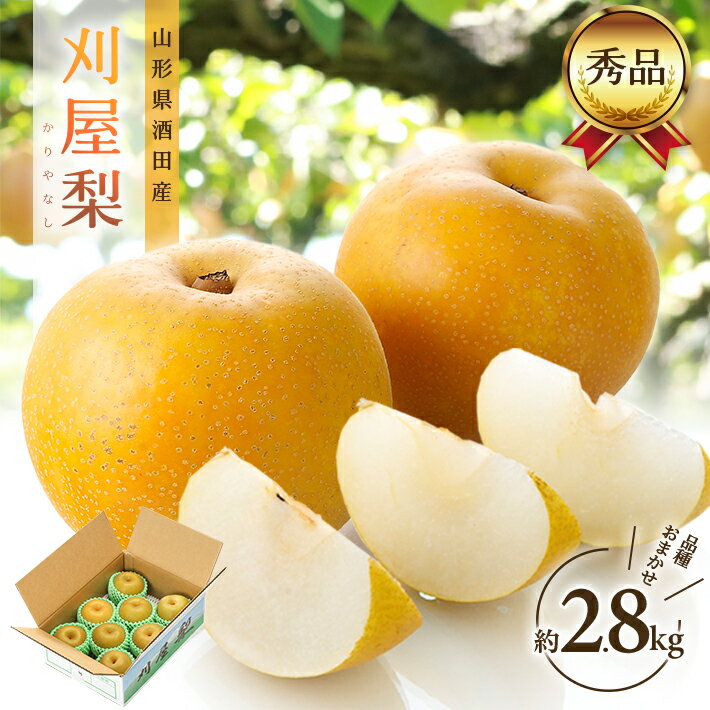 【ふるさと納税】酒田の美味しい刈屋梨 秀品 約2.8kg 6～9玉 8月下旬〜9月下旬頃お届け ※着日指定不可 刈屋梨 和梨 梨 なし 果物 くだもの フルーツ 夏 秋 旬 酒田 庄内 刈屋