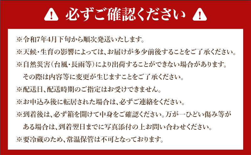 期間限定 みやざき 完熟マンゴー 3L × 1玉 先行予約 数量限定 国産 食品 果物 くだもの フルーツ 厳選 濃厚 デザート おやつ おすすめ 冷蔵 ご褒美 贅沢 おすそわけ ギフト プレゼント 