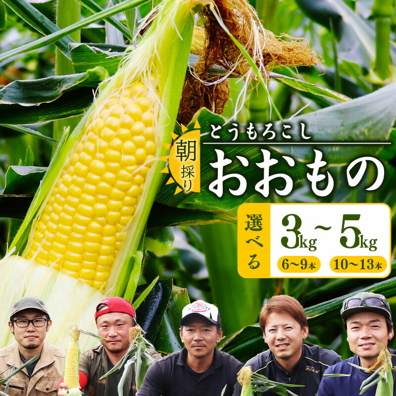【ふるさと納税】 選べる！ 朝採り 山形県産 農家直送 とうもろこし 3kg 〜 5kg「おおもの」 【2025年8月上旬頃〜9月下旬頃発送予定】 ／ 野菜 お取り寄せ コーン 夏野菜 産地直送 生産者直送 自宅用 家庭用 トウモロコシ 夏 山形 2025年産 令和7年産 3キロ 5キロ