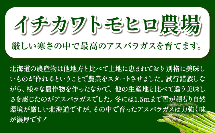 【1-6-69】【2026年先行】とれたて極太グリーンアスパラ1kg