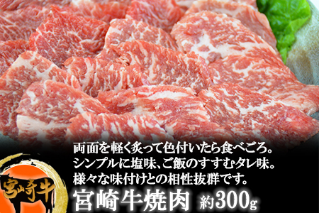 ＜宮崎牛のセットB＞翌月末迄に順次出荷【 牛 牛肉 詰め合わせ BBQ 焼き肉 焼肉　しゃぶしゃぶ 鍋 すき焼き ステーキ スライス 国産 黒毛和牛 】