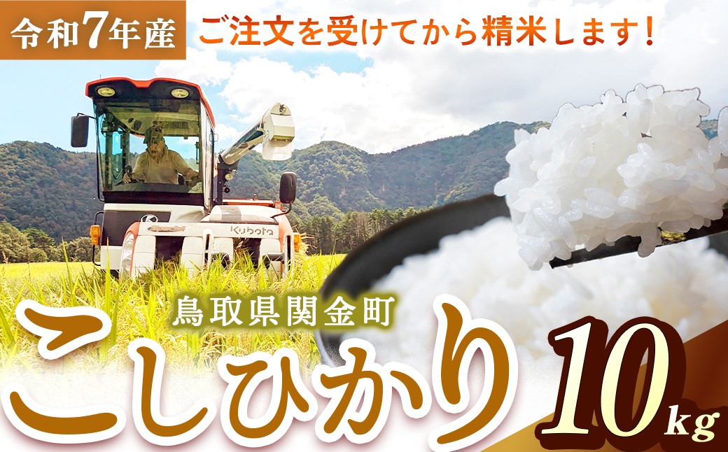 
                  【在庫限定】令和7年産米 コシヒカリ 10kg （山崎農園）数量限定 お米 米 こめ コメ 白米 ブランド米 鳥取県 倉吉市
                
