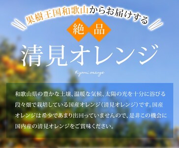 【家庭用】 森本農園の手選別 清見オレンジ 約2kg +200g傷み補償付 和歌山県産 サイズ混合 【北海道・沖縄・離島配送不可】※2025年2月上旬～5月中旬頃順次発送【RN21】 / 柑橘 ご家庭