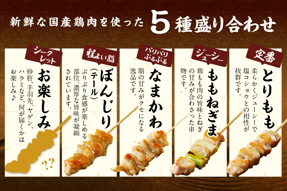 国産焼き鳥セット 5種盛り合わせ60本　KN00011