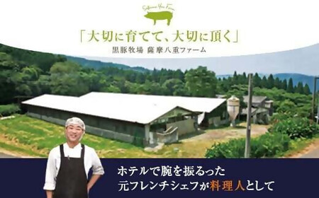 かごしま黒豚ウデ肉スライス 500g 株式会社薩摩八重ファーム ZS-6127