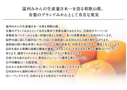 ブランド有田みかん　秀品5キロ　サイズお任せ/紀伊国屋文左衛門本舗　※2024年10月下旬～2025年1月中旬頃発送予定（お届け日指定不可）【ntb140A】