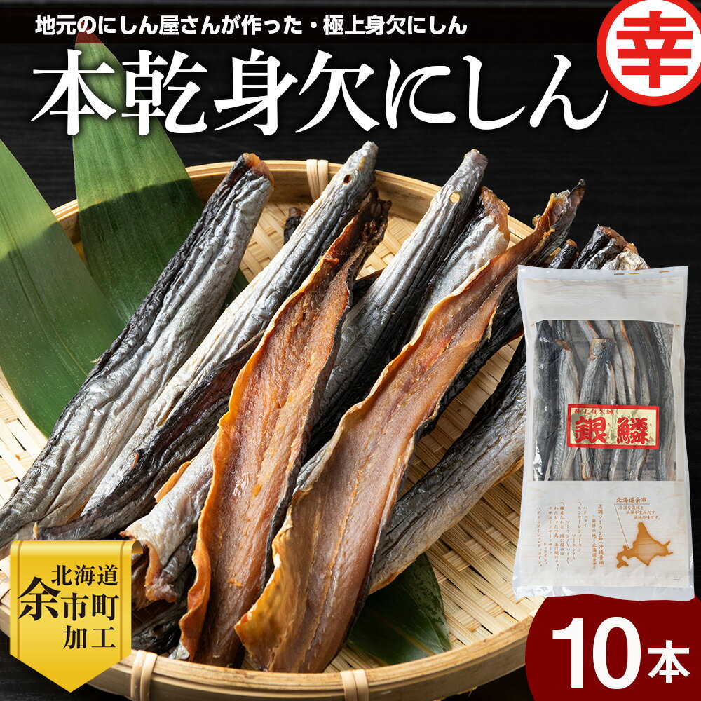 【ふるさと納税】【北海道余市町加工】伝統の本乾身欠にしん10本セット 鱗なし骨なし下処理済み 江戸時代から続く極上干物 身欠にしん 鱗なしにしん 干しにしん 下処理済みにしん 乾物 本乾製法 伝統製法 北海道グルメ 北海道特産品 にしん料理 北海道 余市町 送料無料
