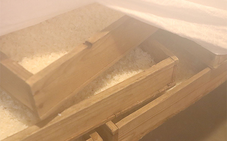 須賀川産コシヒカリ使用 冷凍生麹 約500g 米麹 甘酒 塩麹 醤油麹 調味料作り 発酵食品 食品 F7X-0799