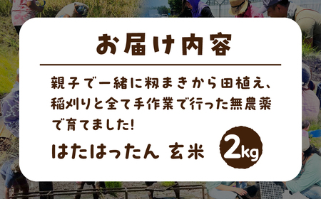 【玄米2kg】お米 2kg 玄米 お米 米 コメ こめ ご飯