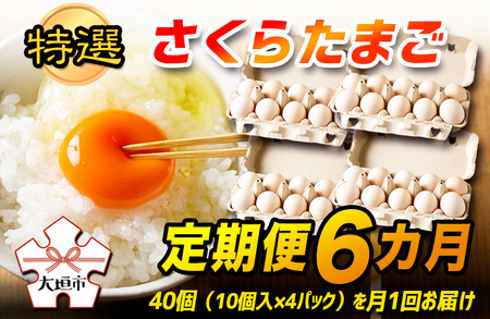 【定期便 6ヶ月】特選 さくらたまご 40個（10個入×4パック） 6回 卵 玉子 タマゴ