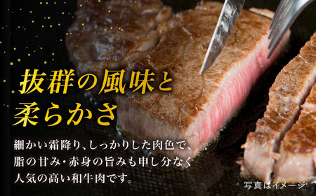 サーロインステーキ A4ランク 糸島黒毛和牛 約200g×8枚 糸島市/糸島ミートデリ工房 [ACA381] サーロインステーキ