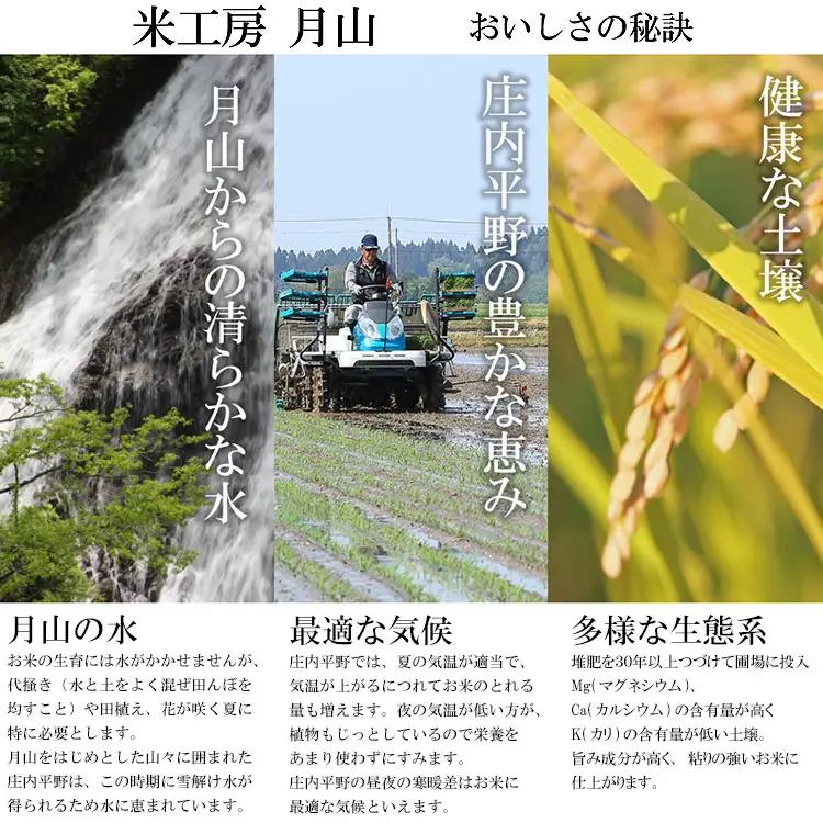 特別栽培米 つや姫 無洗米 10kg 【令和8年産新米早期予約特別企画】