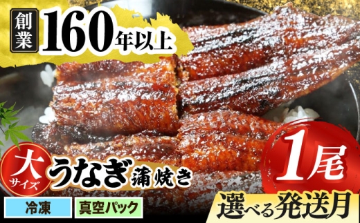 【うなぎや】【8月発送】 炭火焼 うなぎの蒲焼き 1尾 【紀州備長炭使用】 鰻 うなぎ ウナギ 土用の丑の日 丑の日 蒲焼き 蒲焼 老舗 真空パック 特大 大 特上 送料無料 多治見市 [TFO001]