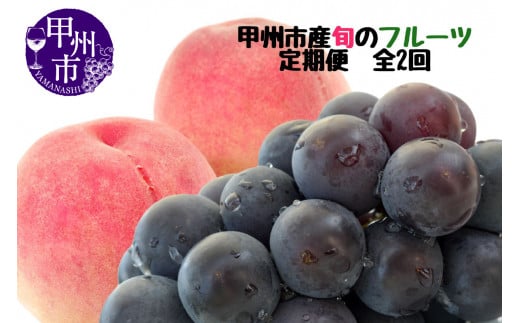 【定期便】甲州市産厳選旬のフルーツ定期便全2回（桃・巨峰）【2026年発送】（MG）B18-481