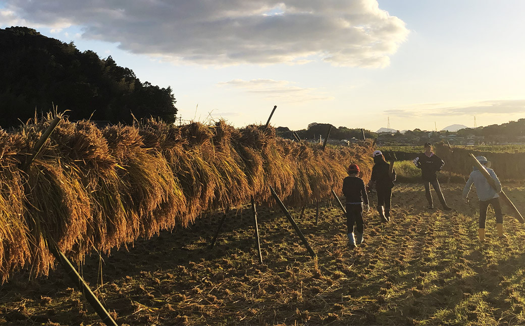 福岡県産幻の天日干し米 5kg