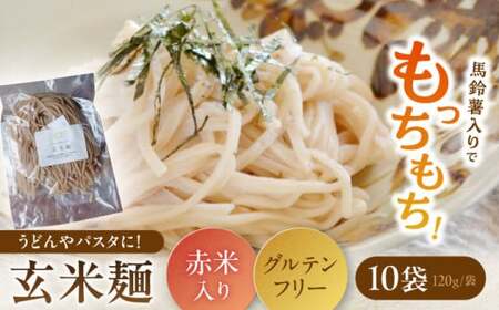 お山の玄米麺 計1.2kg（120g×10パック）/ 白川町 / Sunpo[AWBC003]