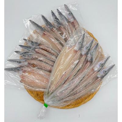 ふるさと納税 土佐清水市 無添加 干物 カマスの開き3袋 合計12枚〜15枚入り 魚介 焼き魚【R00826】 |  | 01