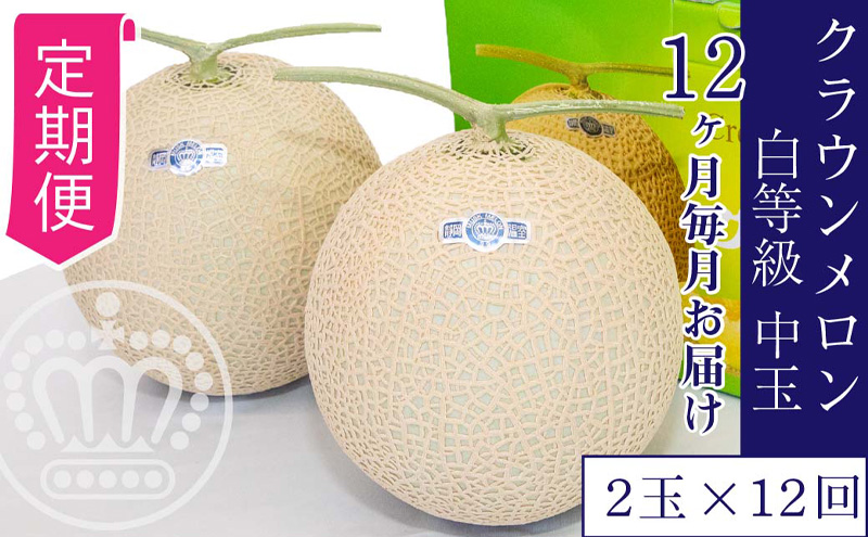 【12ヶ月定期便】クラウンメロン並【白等級】1.3kgぜんご　2