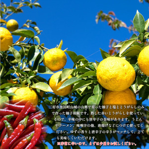 お試し 柚子胡椒 （赤唐辛子） 1本 50g 【 柚子胡椒 】