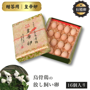 特選 有精卵 烏骨鶏のたまご 16個セット ［ 皇帝卵 ］烏骨鶏の卵 烏骨鶏の玉子 烏骨鶏 うこっけい 放し飼い卵 平飼い卵 贈答用 ギフト