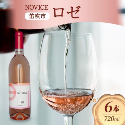 ふるさと納税 笛吹市 ロゼワイン NOVICE ロゼ 720ml×6本 フルボトル 日川中央葡萄酒 山梨県 笛吹市