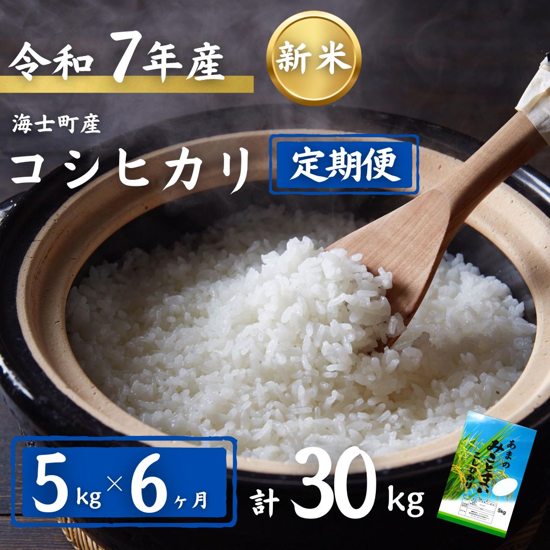 【ふるさと納税】【定期便6ヵ月】計30kg！コシヒカリ 5kg×6か月定期便 | 7年産 新米 お米 精米 白米 弁当 ごはん ご飯 コシヒカリ 令和 ギフト 5kg |