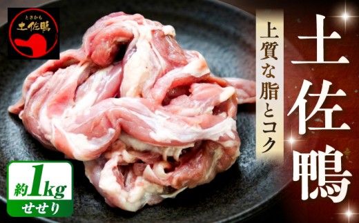 土佐鴨 セセリ (フレッシュ冷蔵) 約1kg 土佐鴨 土佐ジロー飼育研究会 【グレイジア株式会社】 [ATAC588] 鴨 かも カモ とさがも 肉