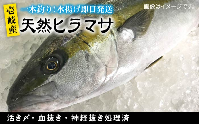 
壱岐島産天然ヒラマサ 40000 40000円 4万円
