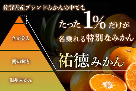温州みかん 祐徳みかん 約3kg 化粧箱入り 希少 数量限定 《10月下旬～12月頃発送予定》| ブランド 温州みかん 希少 佐賀県 鹿島市 B-100