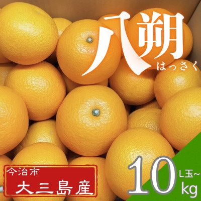 【先行予約】大三島産 八朔　約10kg【K003210L10】【1668588】