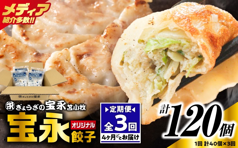 
            【全3回定期便（4ヶ月毎）】宝永餃子10個入セット（宝永餃子10個入×4袋）合計1.0kg　T004-T03-01
          