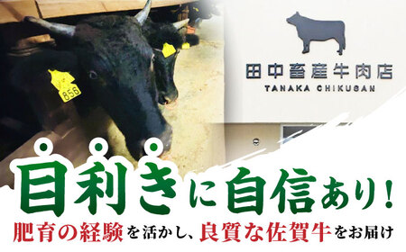 【2度の農林水産大臣賞】佐賀牛 ヒレ 2種 食べ比べ B（ シャトーブリアン ・ ヒレサイコロ ）計450g　【田中畜産牛肉店】[HBH158]
