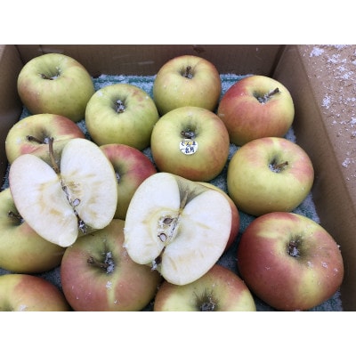 甘くてシャキシャキ!　青森県産りんご　ぐんま名月　贈答用　約5kg　蜜入りも!