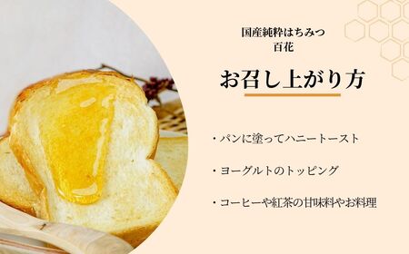 ＜国産＞ 純粋はちみつ 百花 150g×12本 埼玉養蜂 | 国産はちみつ はちみつ 蜂蜜 ハチミツ HONEY ﾊﾁﾐﾂ 新鮮 ハニー ひゃっか 健康 朝食 プレゼント ﾊﾁﾐﾂ 贈答 ギフト 贈り