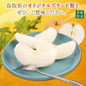梨 新興梨 鳥取産 5kg× 1箱
