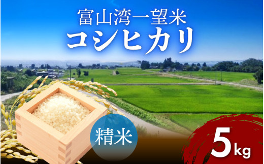 
                  【先行予約】令和8年産 富山湾一望米　コシヒカリ 精米 【容量5kg】[A-051001] 農家直送 米 定期便 選べる 精米 富山県滑川産お米 産地直送 袋 ブランド米 お米 白米 こしひかり
                