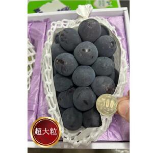 ぼっけえ大粒！ ピオーネ 1房 800g以上 化粧箱入り｜ ピオーネ