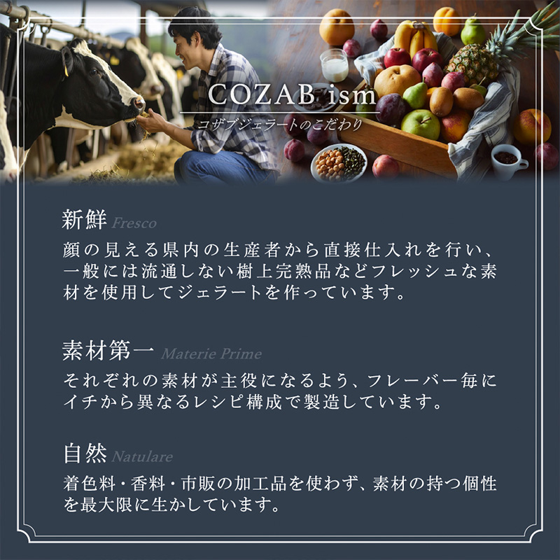COZAB GELATO 訳あり 大容量 ひとりじめサイズ 2個セット FY25-276