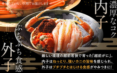【先行予約/11月7日より順次発送】朝ゆで国産セイコガニ　5杯 [BFAA004] 【配送不可地域：北海道・沖縄・離島】 