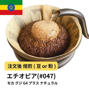 【粉】コーヒー #047 モカ グジ G4 プラス ナチュラル 310g 当日焙煎 大山珈琲