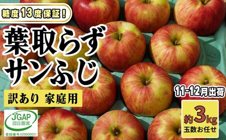 りんごサンふじ葉取らず訳あり青森県産りんご【約3kg】【11-12月発送】