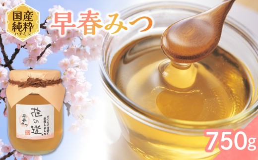 国産純粋蜂蜜 早春みつ 750g 非加熱 はちみつ ハチミツ 生はちみつ ローハニー オススメ 贈答 贈り物 プレゼント 八女市
