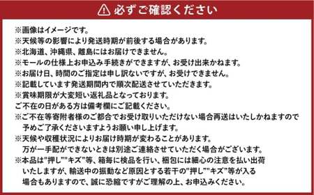岡山白桃 エース3玉×約200g 計約600g 岡山県産 【2026年7月上旬～8月下旬まで順次発送予定】 モモ もも 桃 白桃 果物 フルーツ 岡山県 倉敷市
