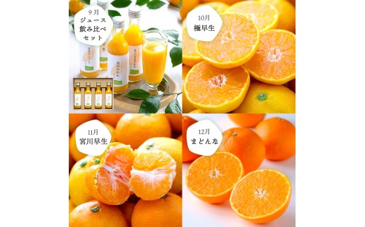 ＜発送月固定定期便＞食べ切り少量サイズ 愛媛の人気品種!柑橘定期便(秀品)全12回＜H25-156＞【4012890】 YWTAP098