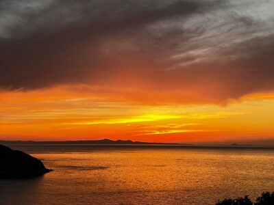 【先行予約】【家庭用】不知火 約5kg | 柑橘 みかん 果物 フルーツ 愛媛県産 農家直送　※離島への配送不可　※2026年2月下旬より順次発送予定  IKTAU008