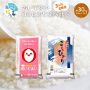 【ふるさと納税】 3ヶ月 30kg おいでまい コシヒカリ 食べ比べ 各5kg 米 定期便 こしひかり オリジナル品種 国産 精米 ご飯 食品 人気 おすすめ お取り寄せ お取り寄せグルメ 送料無料